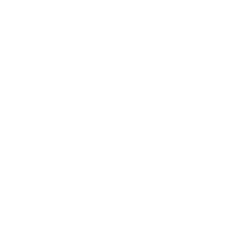 Tempo Rapido